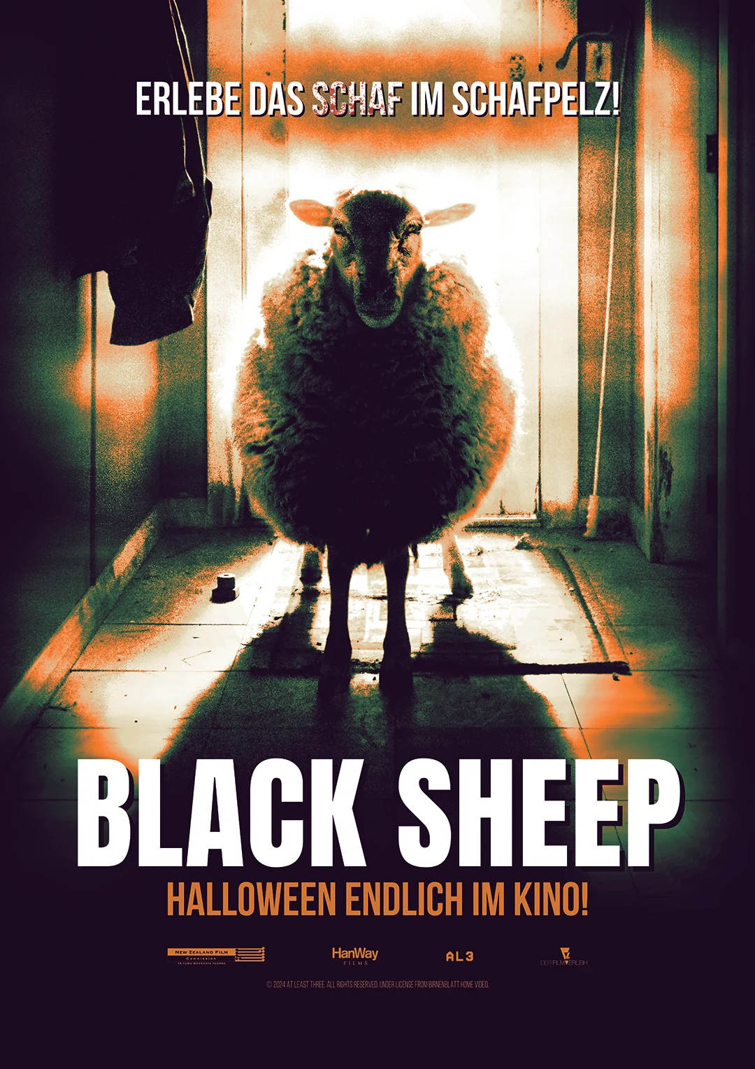 Foto Black Sheep